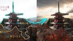 乐鱼体育在线直播官网-乐鱼体育在线直播，打造极致体育盛宴，激发全民运动热情