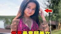 足球325比分网-足球325比分网，球迷的实时信息港湾与赛事分析利器